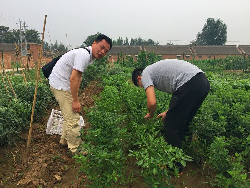 好利來郭總喊您來摘菜啦！綠色無公害，放心！